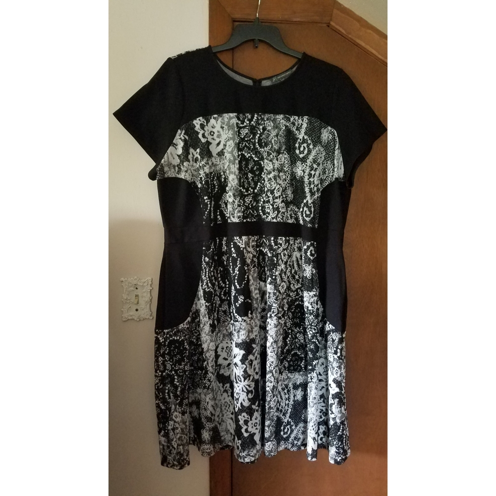 Adrianna Papell Dress 22W